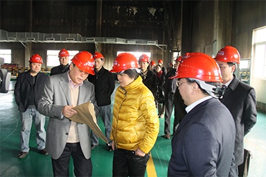 2012年1月31日，時(shí)任嘉興市委書記魯俊率領(lǐng)市發(fā)改委等市級部門負(fù)責(zé)人到公司調(diào)研